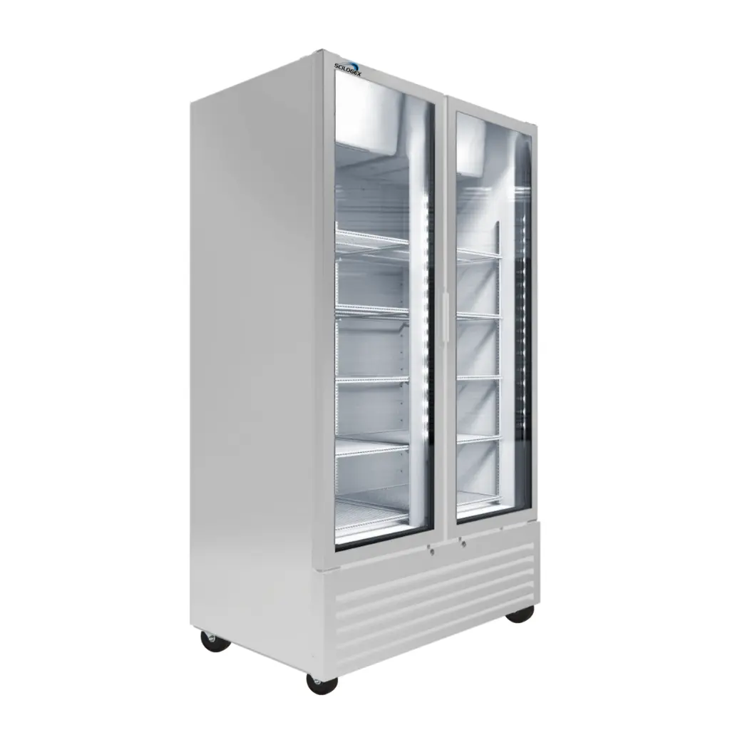 Untitled design.webp