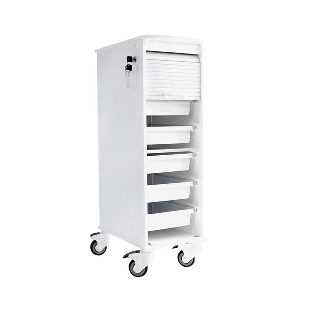 6 Shelf Narrow Locking Cart (4).png