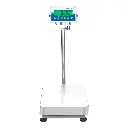 AGB and AGF Bench and Floor Scales (2).webp
