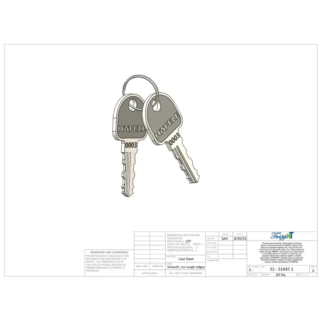 Cart Keys(1).webp