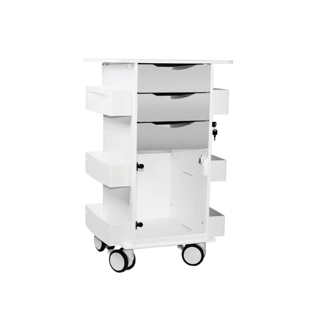 Core DX Cart with Hinged Door(4).webp