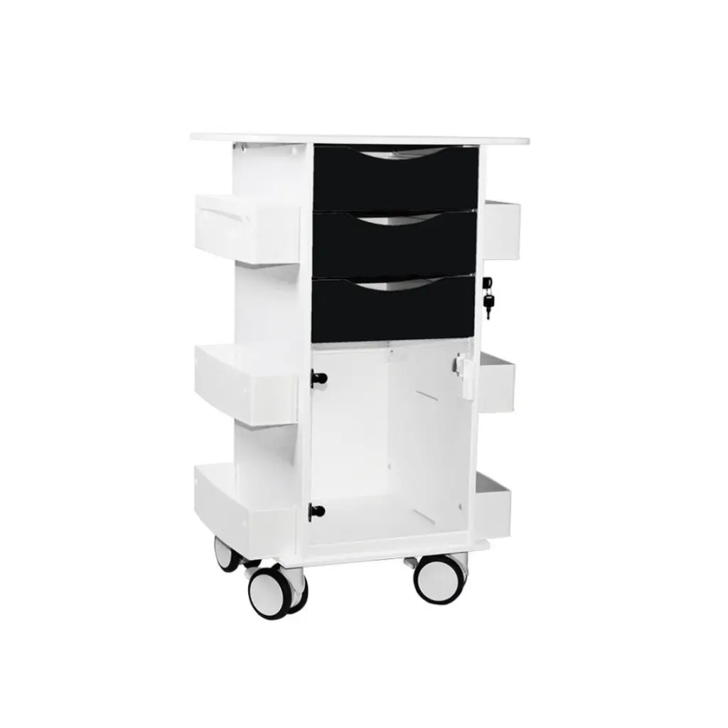 Core DX Cart with Hinged Door(6).webp