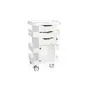 Core DX Cart with Hinged Door and Railtop (6).webp
