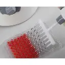 762000019999 (2).webp