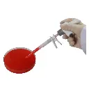 762000019999 (4).webp