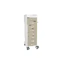 TL 8D Carts(5).webp