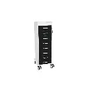 TL 8D Carts(7).webp