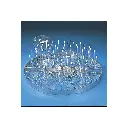 Yamato AW62 Fully-Automatic Glassware Washer(4).webp