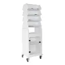 Tall Narrow Suture Medical Cart with Clear Lockable Door.webp