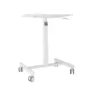Lab Grade Height Adjustable Companion Cart