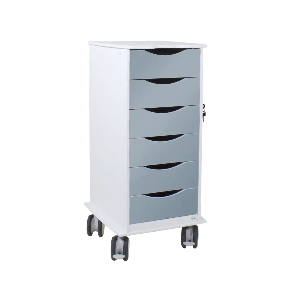 Core SP Cart with 6 Silver Metallic Drawers