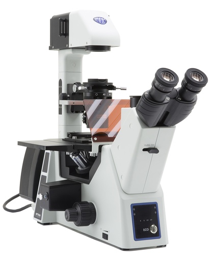 [IM-5FLD] IM-5 Inverted LED fluorescence/phase contrast microscope, IOS, w/o objectives, UV, B&G filter set