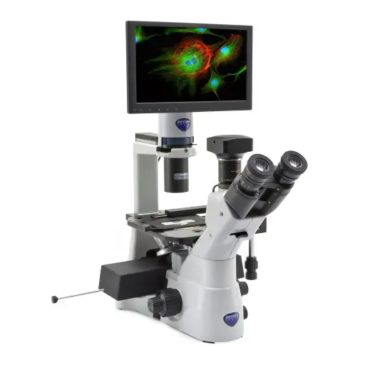 [IM-DGFL] Complete Inverted Fluorescence Imaging System, Phase, DAPI, GFP, RFP, 10X, 20X, 40X
